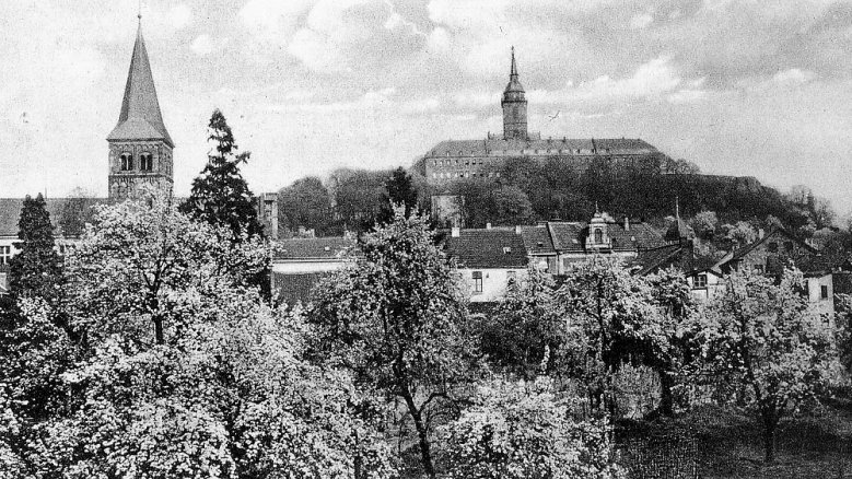 Tierbungert Tierbungert