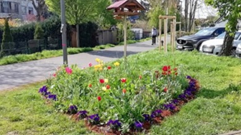 Herz für Siegburg Herz aus blühenden Blumen, in der Mitte steht ein Vogelhäuschen.