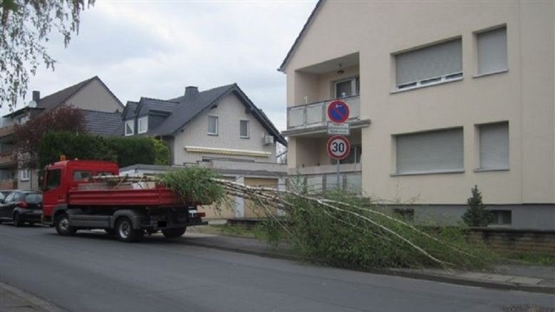 Maibaumtransport Maibaumtransport