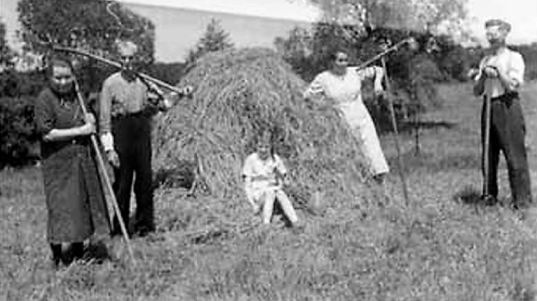 Heuernte Neifer Heuernte Neifer