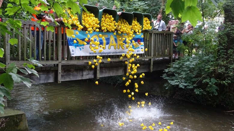 Entenrennen Gummienten, die von der Ilse-Hollweg-Brücke in den Mühlengraben geschüttet werden