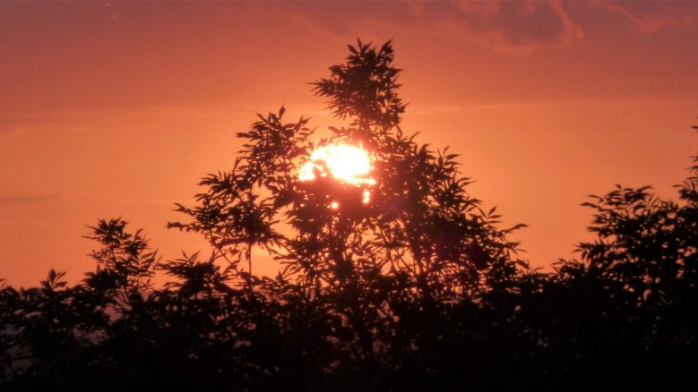 Sonnenuntergang Sonnenuntergang