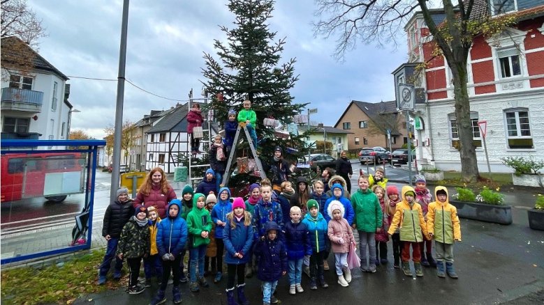 Wolsdorfer Weihnachtsbaum Wolsdorfer Weihnachtsbaum