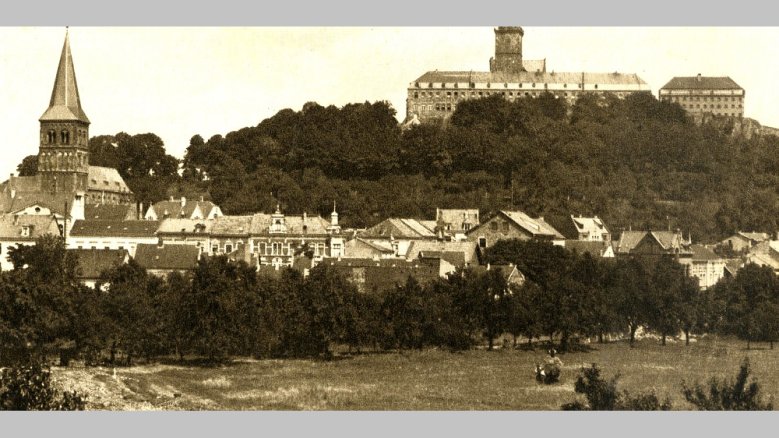 Tierbungert Tierbungert