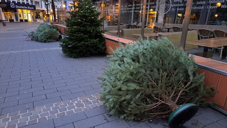 Umgestürzte Weihnachtsbäume Umgestürzte Weihnachtsbäume