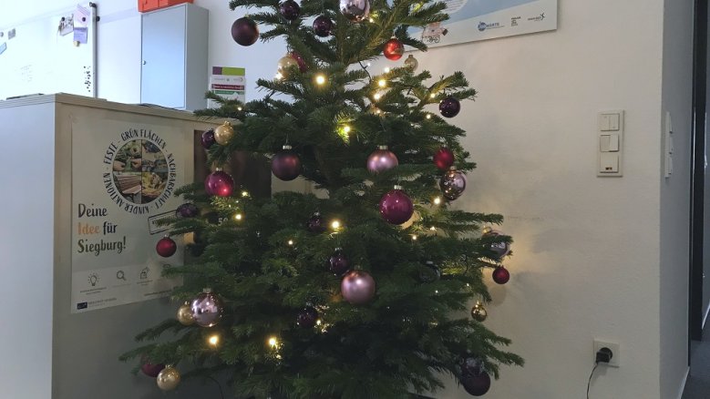 Weihnachtsbaum Weihnachtsbaum