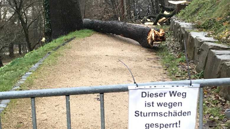 Sturmschaden Seufzerallee Sturmschaden Seufzerallee