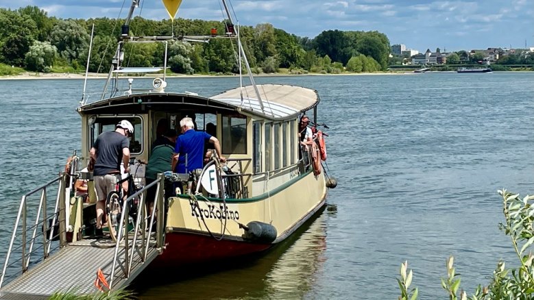 Krokolino Rheinfähre "Krokolino"