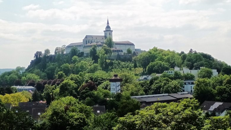 Abtei Die Abteikirche über einem grünen "Meer" aus Bäumen.