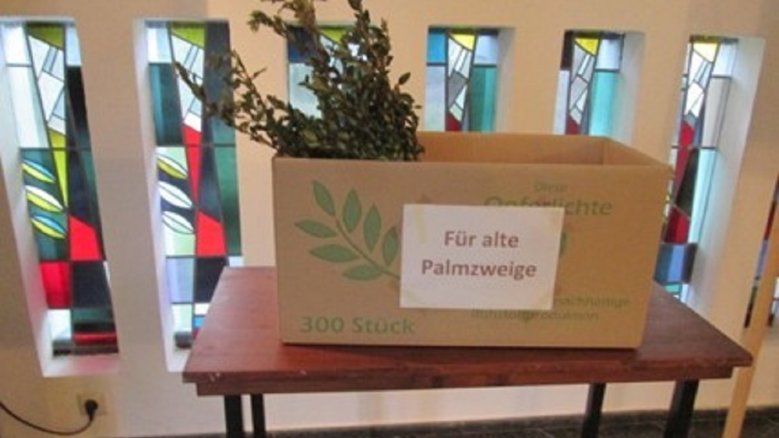 Palmzweige St. Servatius Palmzweige St. Servatius