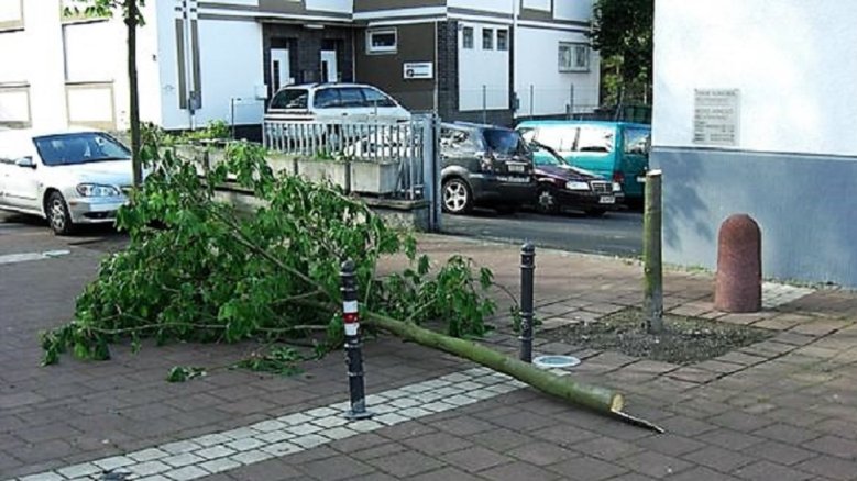 Baum ab Baum ab