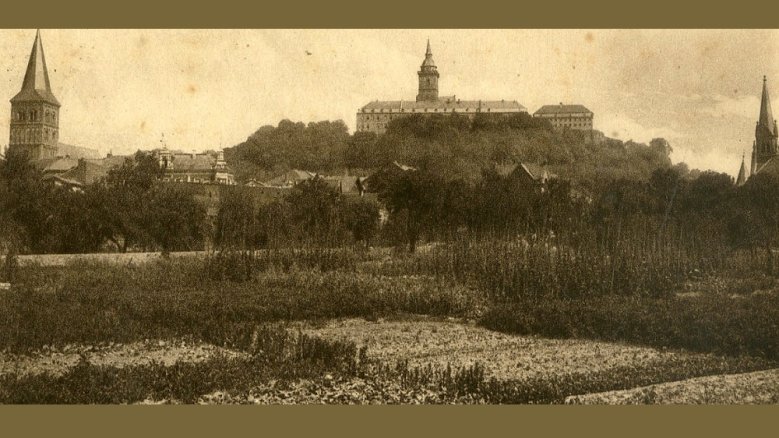 Tierbungert Tierbungert