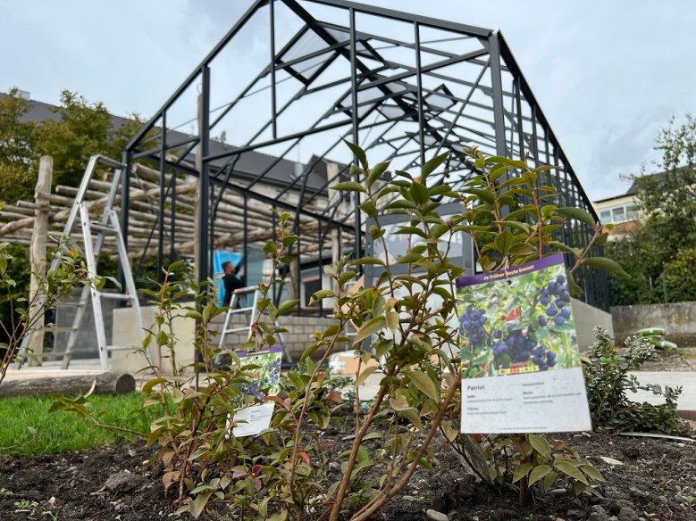 Gemeinschaftsgarten an der Cecilienstraße Gemeinschaftsgarten an der Cecilienstraße