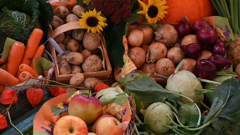 Erntezeit Obst und Gemüse