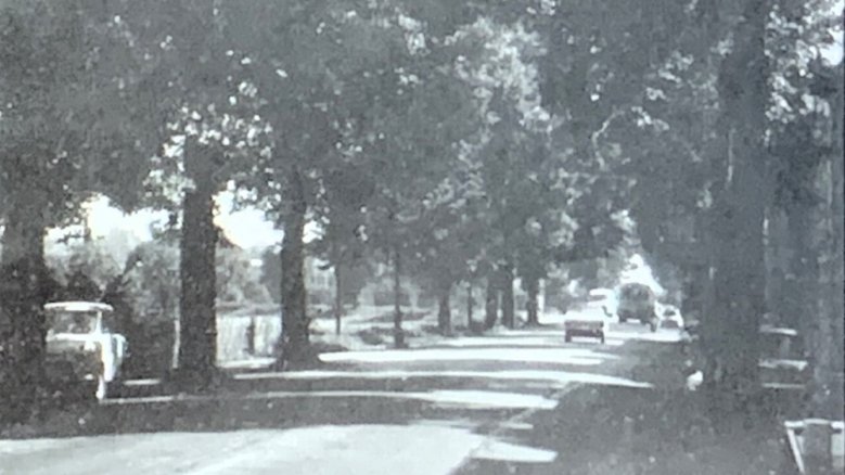 Frankfurter Straße Frankfurter Straße