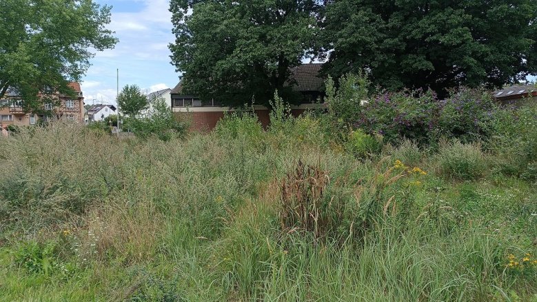 HedwigsGarten HedwigsGarten