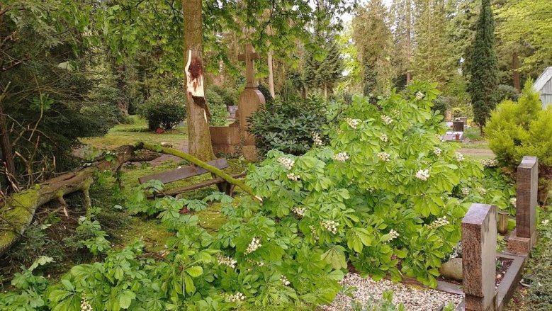 Sturmschaden Nordfriedhof Sturmschaden Nordfriedhof
