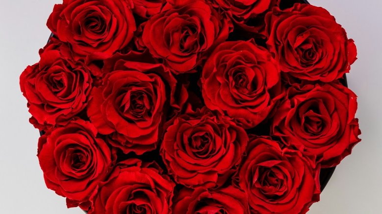 Rote Rosen Rote Rosen