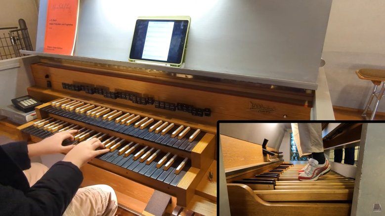 OrganFox