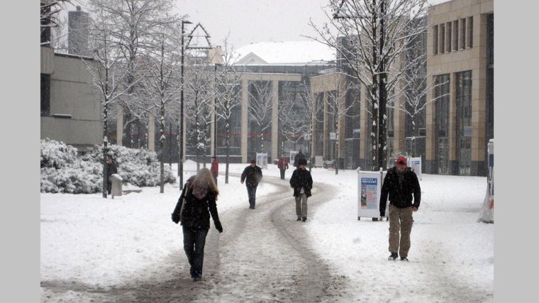 Schnee S-Carré Schnee S-Carré
