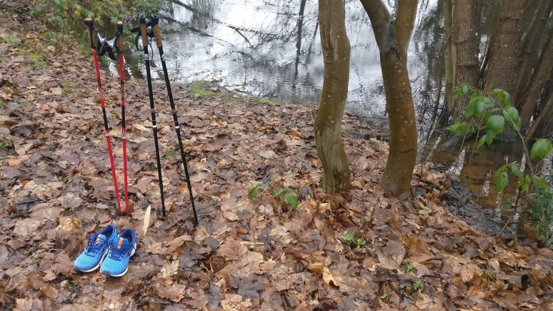 BG Deichhaus Nordic Walking