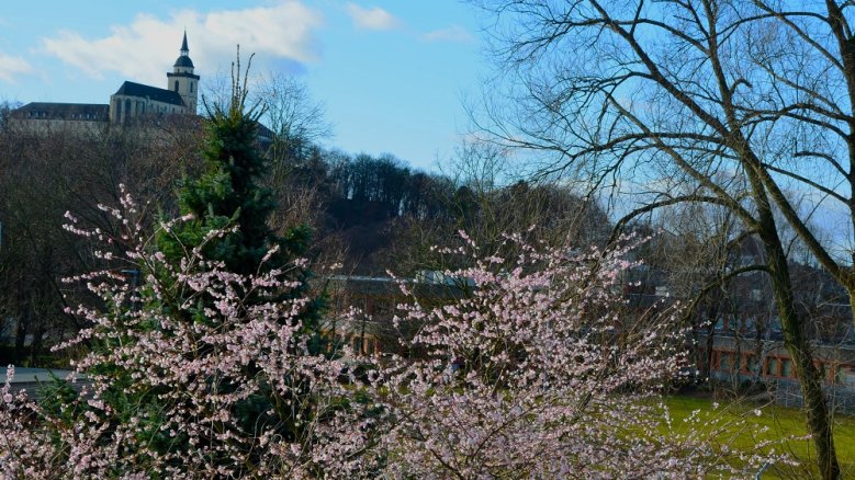 Frühling Frühling
