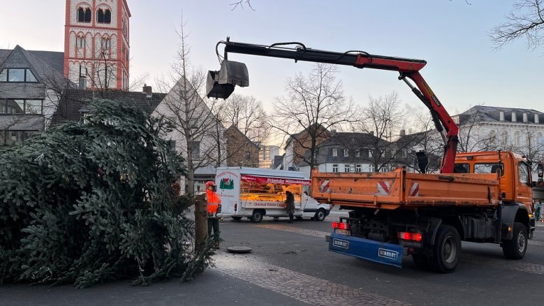 Weihnachtsbaum Markt Weihnachtsbaum Markt