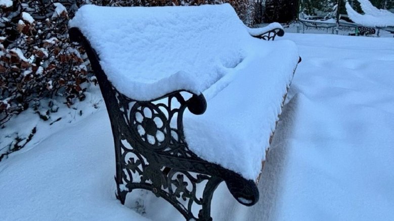 Schnee im Garten Schnee im Garten