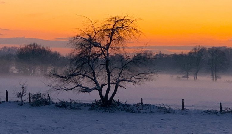 Schnee auf dem Kaldauer Feld Schnee auf dem Kaldauer Feld