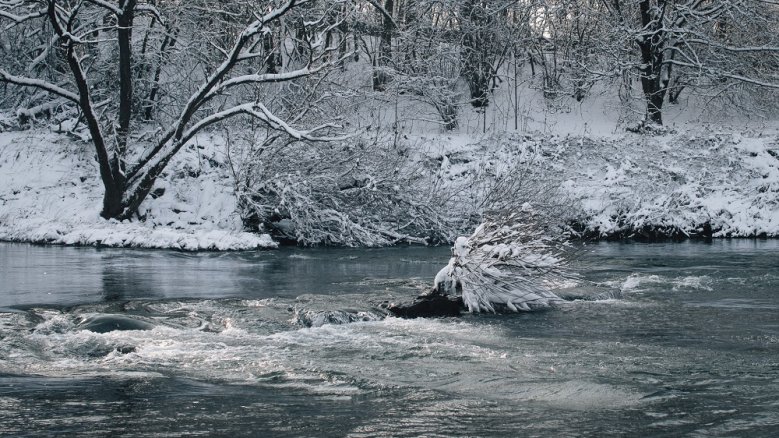 Schnee an der Sieg Schnee an der Sieg