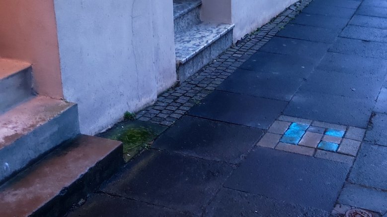 Stolpersteine Brandstraße Stolpersteine Brandstraße