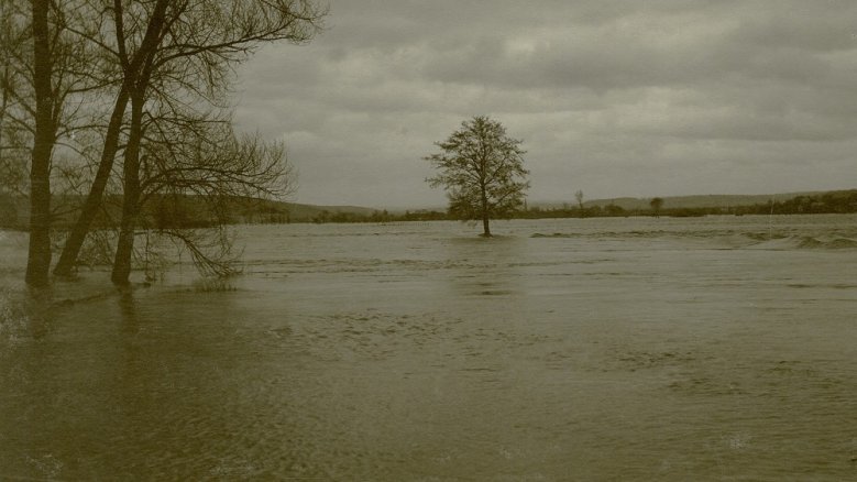 Hochwasser Hochwasser