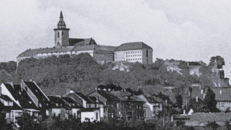 Zellenflügel Zellenflügel