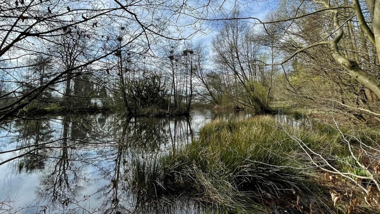 Park Haus zur Mühlen Park Haus zur Mühlen