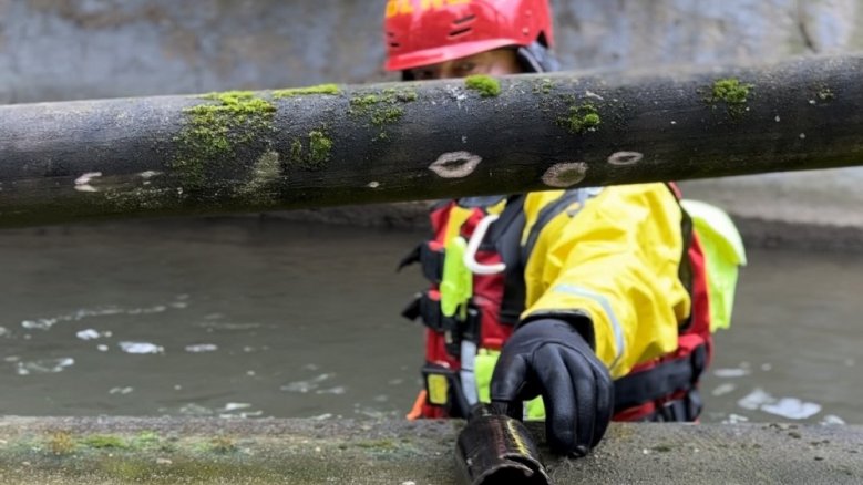 DLRG Stadtputztag DLRG Stadtputztag