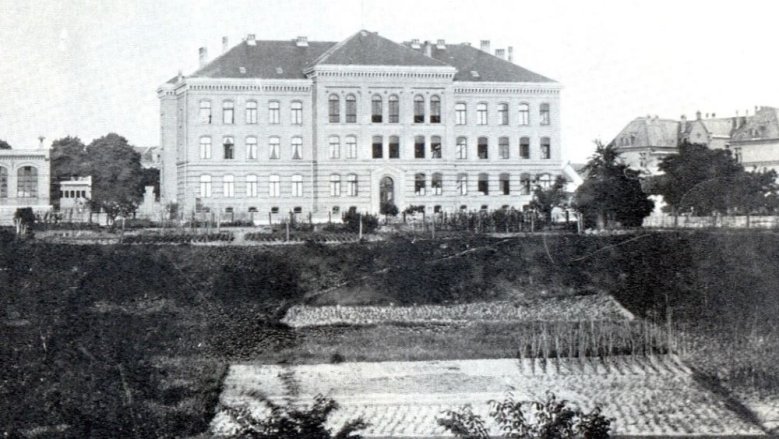 Schulgarten Schulgarten