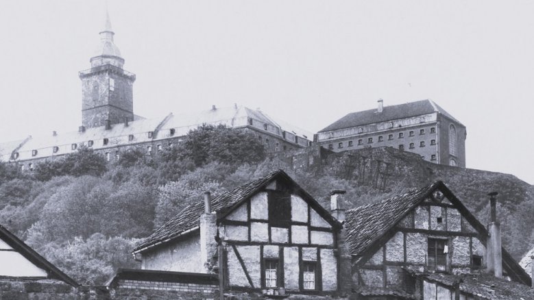 Zellenflügel Zellenflügel