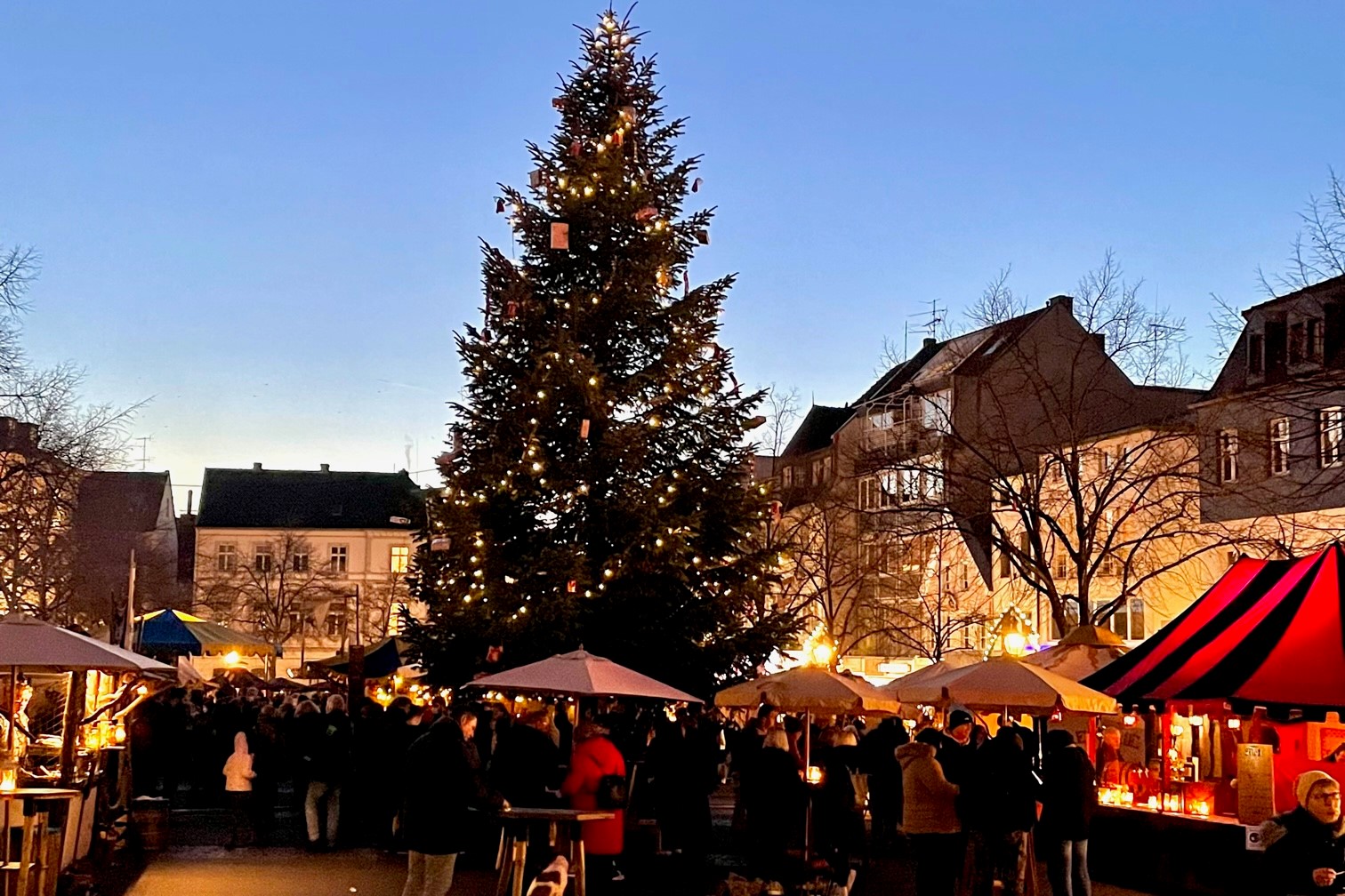 Weihnachtsbaum Siegburg