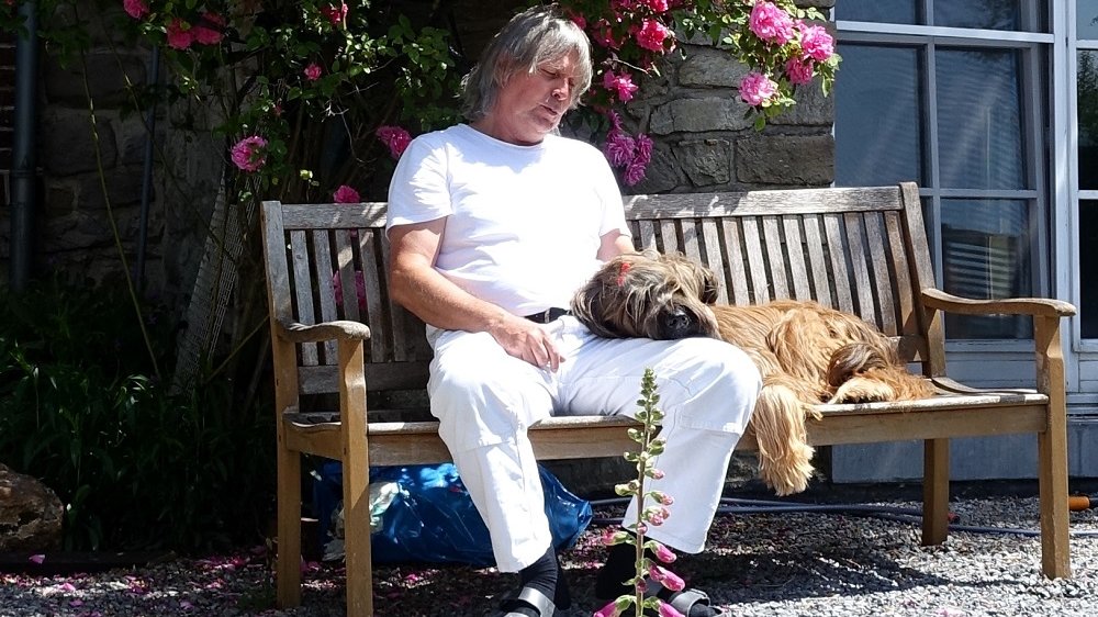 Im Sitzen schlafender Mann und Hund auf einer Bank unter einem Rosenstock