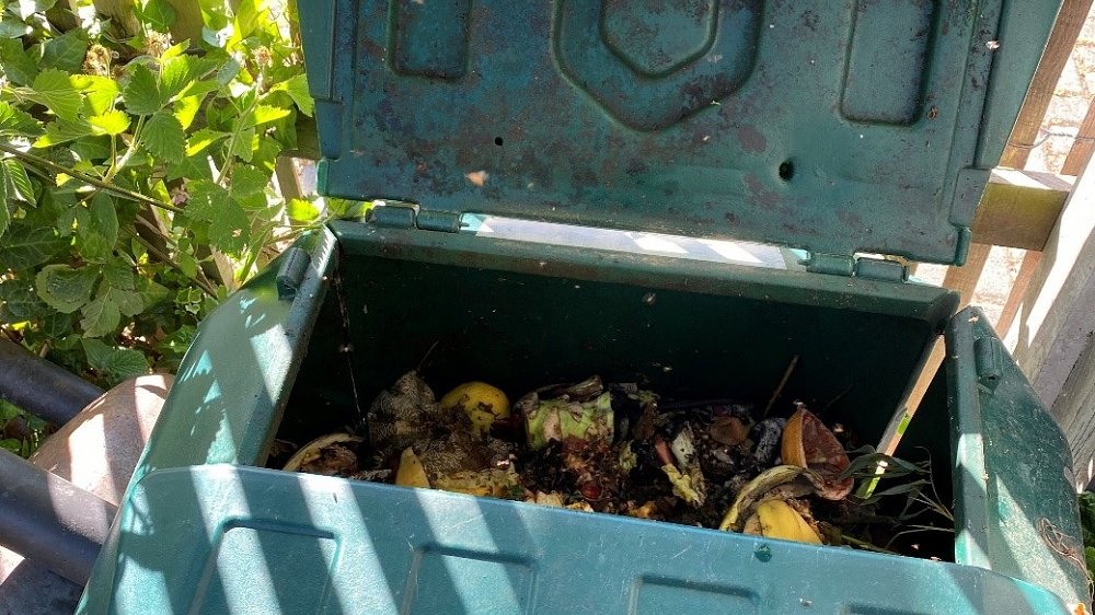 Geöffneter Kompostierer, mit Biomüll gefüllt