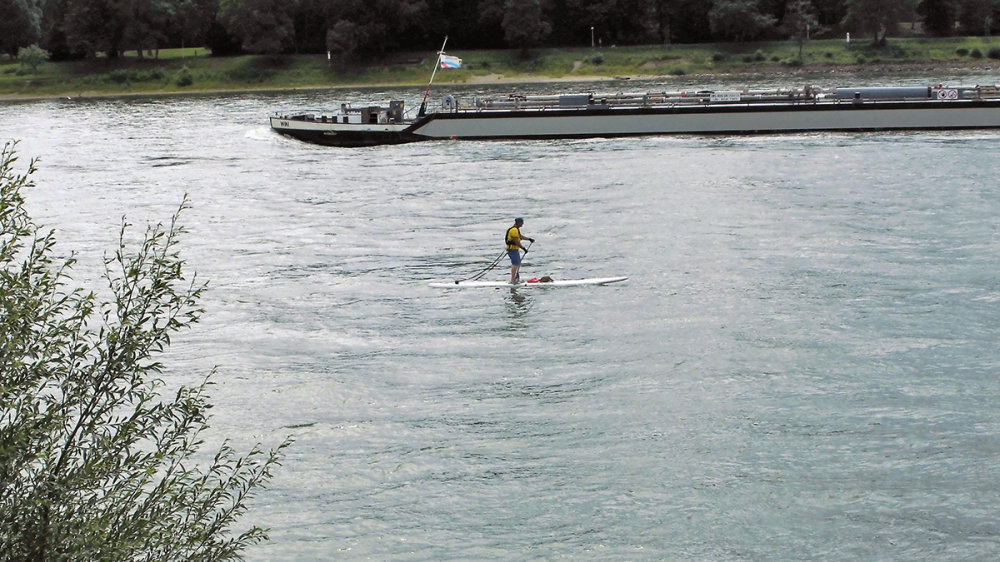 Ein Mann paddelt stehend auf seinem Brett auf dem Rhein