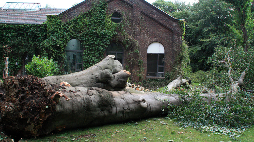 Vor dem historischen alten Wasserwerk an der Wahnbachtalstraße entwurzelte 2015 der Sturm die 120 Jahre alte Buche