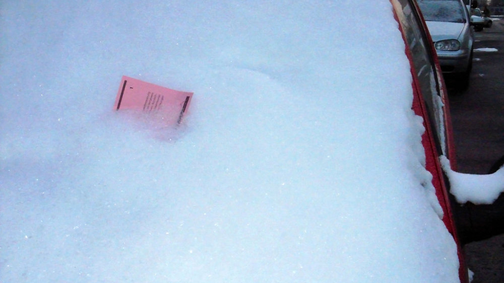 Eine "Knolle" im Schnee 2010
