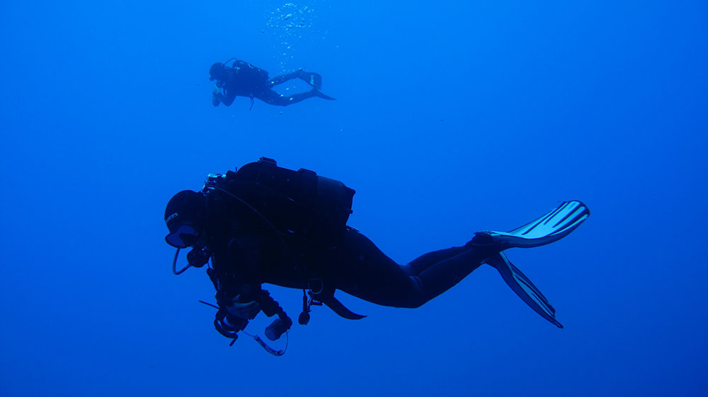 Tauchsportgemeinschaft: Deep Blue Divers