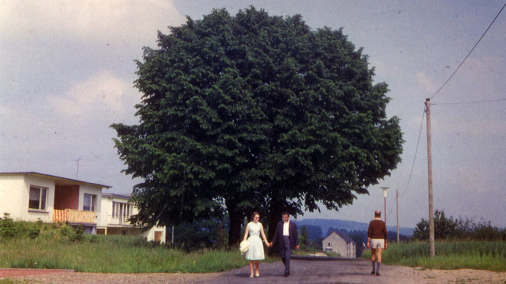 Am Grafenkreuz 1965