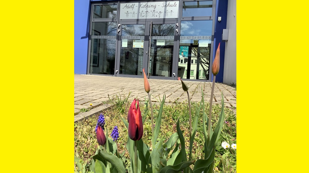 Blühende Tulpen, Traubenhyazinthen und Gänseblümchen vor dem Eingang in die Adolf-Kolping-Schule