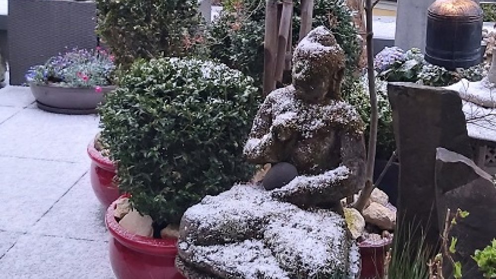 Buddha im Schnee