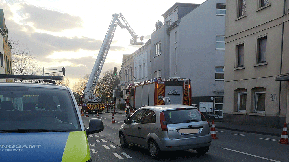 Feuerwehr und Ordnungsamt holen Katze vom Dach