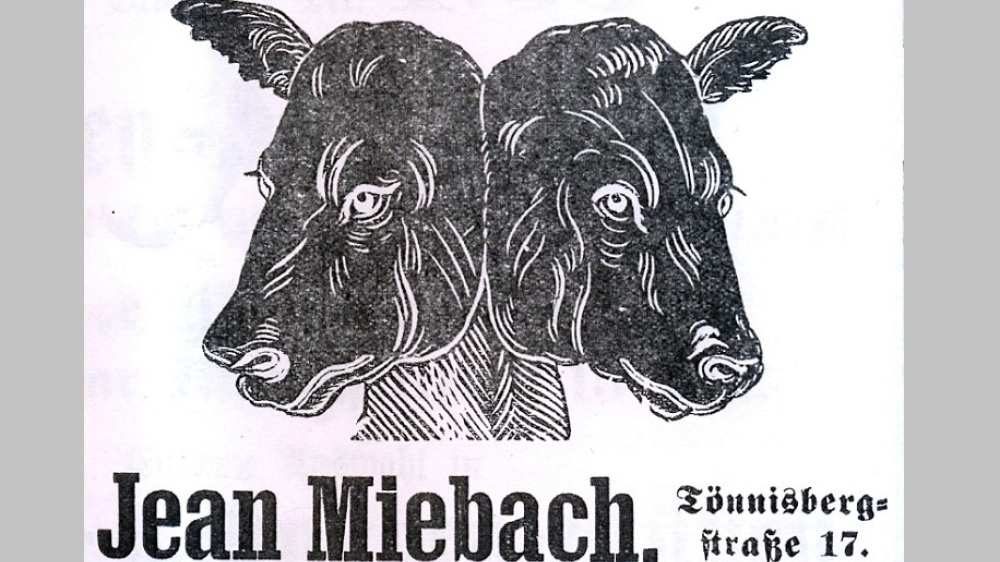 Zwei Kalbköpfe - Werbung im Lokal Miebach 1911