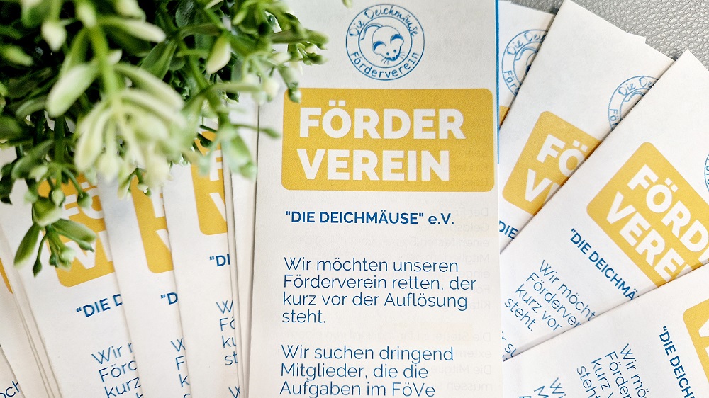 Titelseiten der Broschüre "Förderverein Die Deichmäuse e.V."